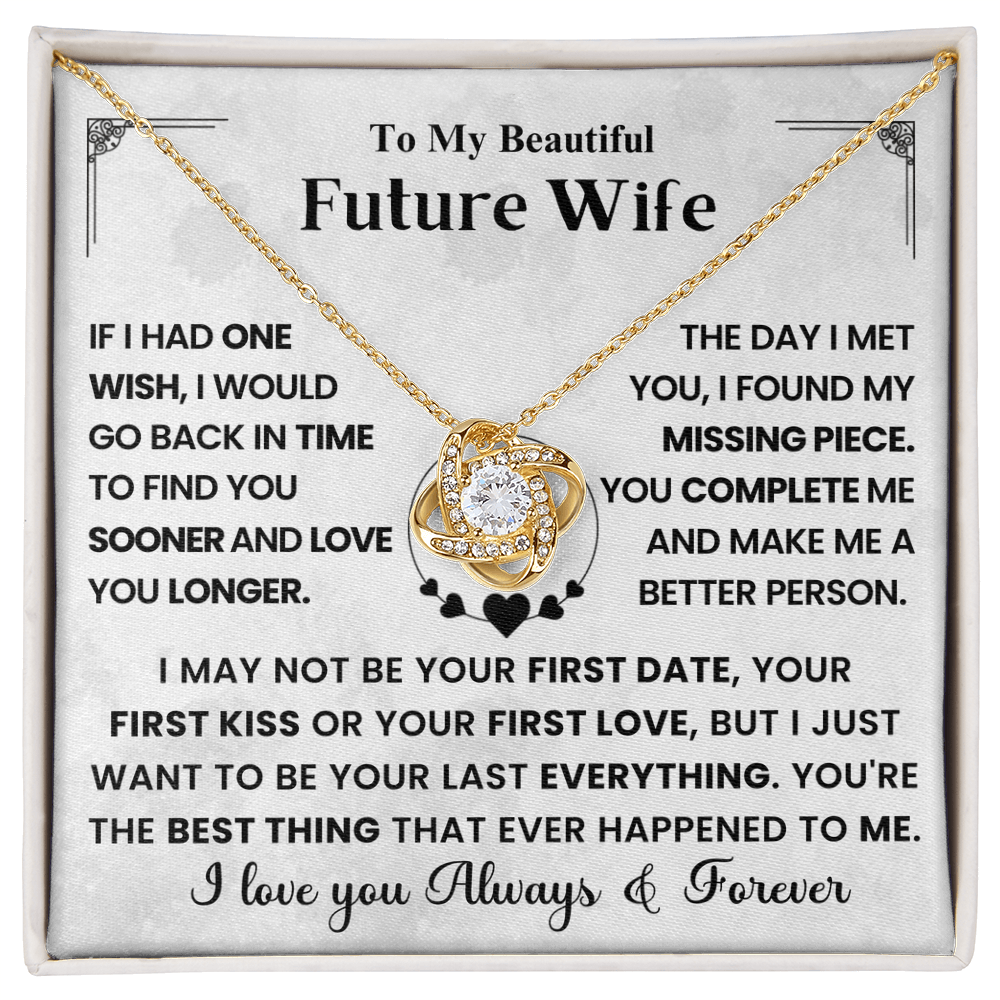 My Future Wife - I Wish I Found You Sooner