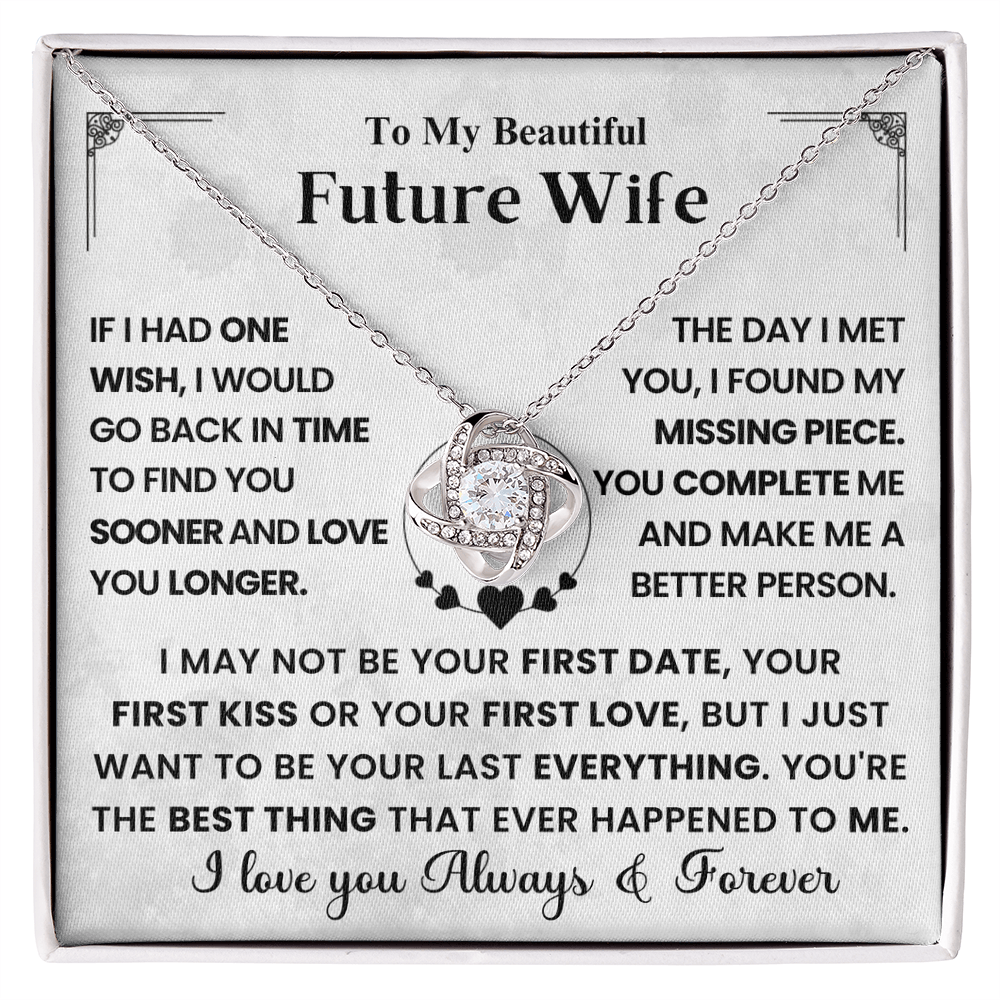 My Future Wife - I Wish I Found You Sooner