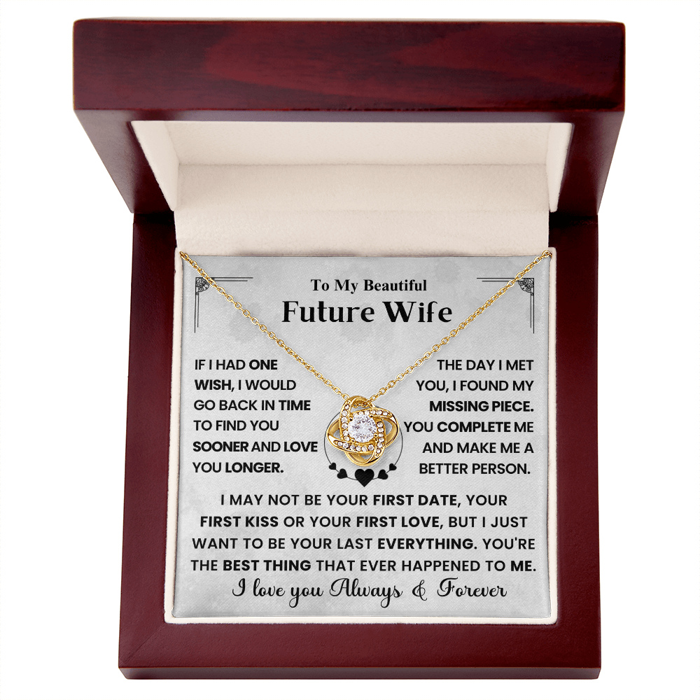 My Future Wife - I Wish I Found You Sooner