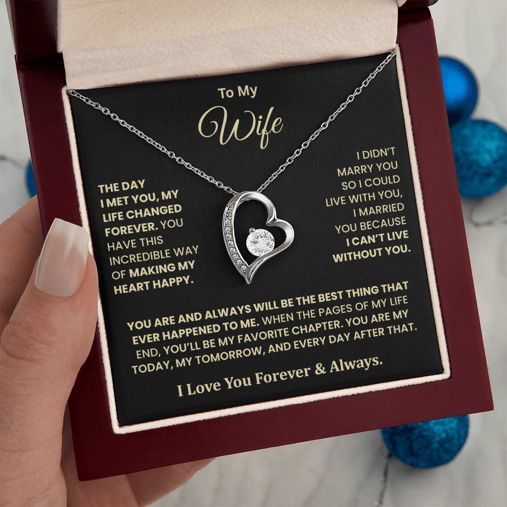 The Day I Met You Necklace – Gift for Wife from Husband