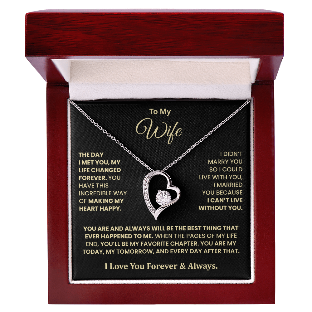 The Day I Met You Necklace – Gift for Wife from Husband