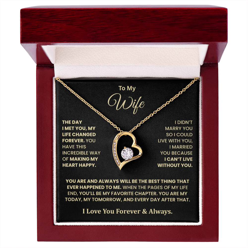 The Day I Met You Necklace – Gift for Wife from Husband