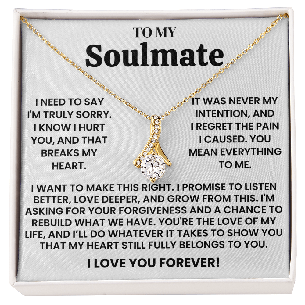 Apology Gift for Soulmate