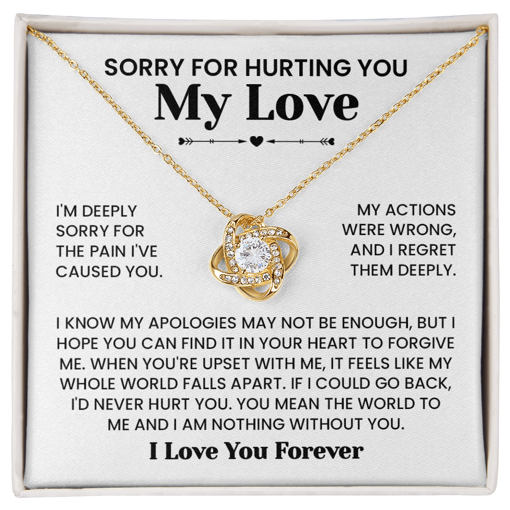 Sorry For Hurting You My Love