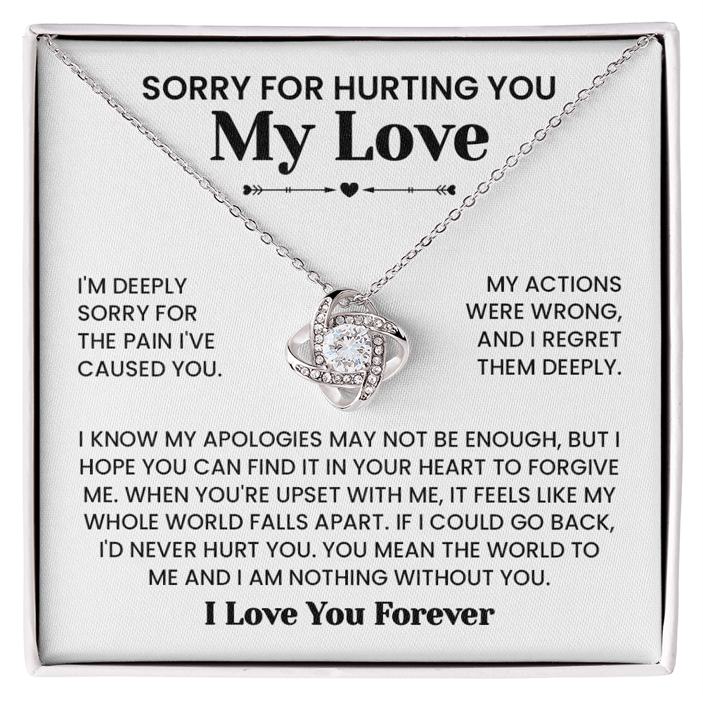 Sorry For Hurting You My Love