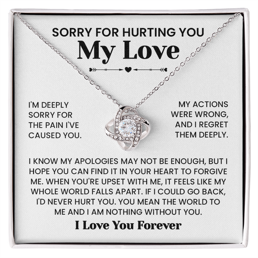 Sorry For Hurting You My Love