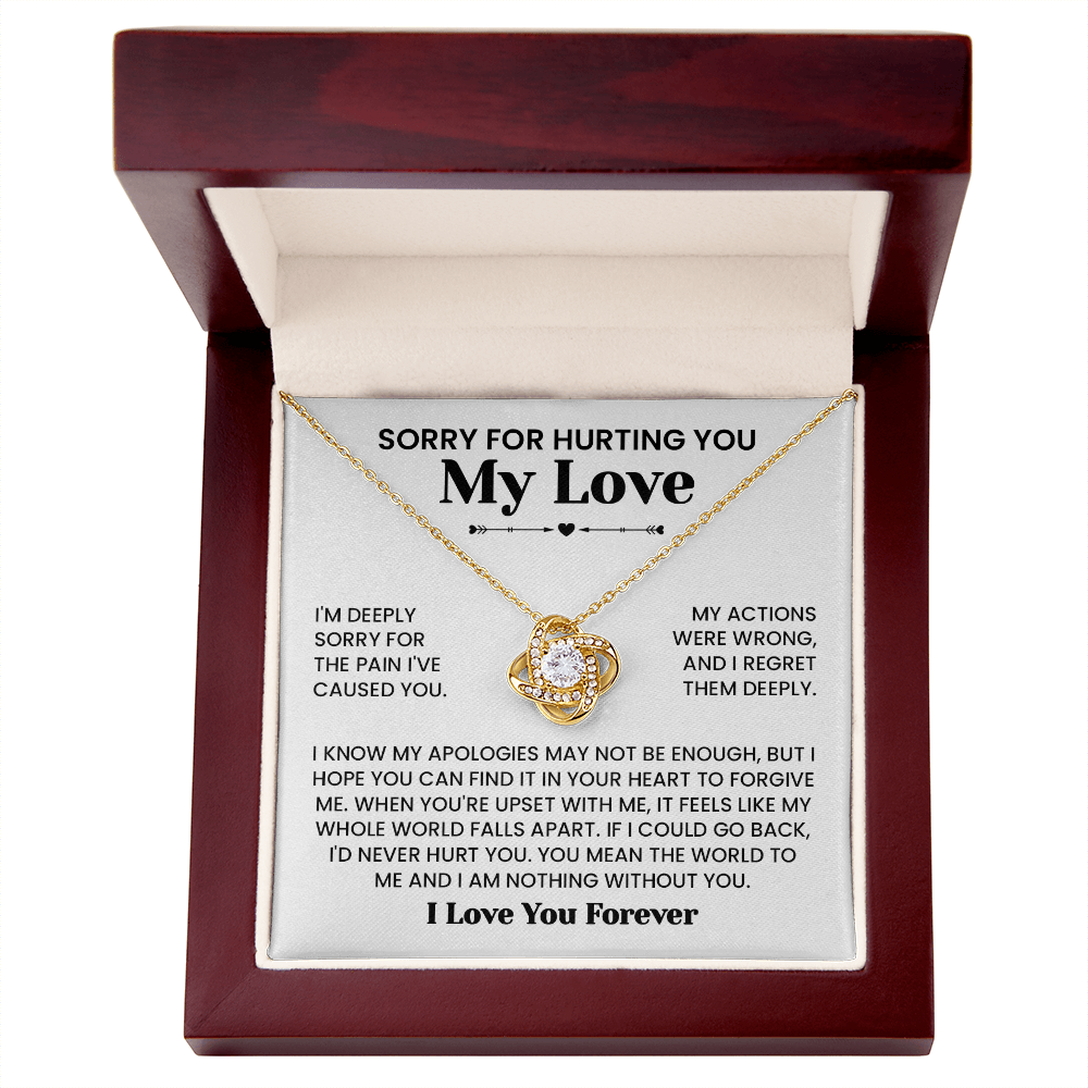 Sorry For Hurting You My Love