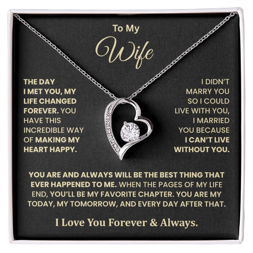 The Day I Met You Necklace – Gift for Wife from Husband