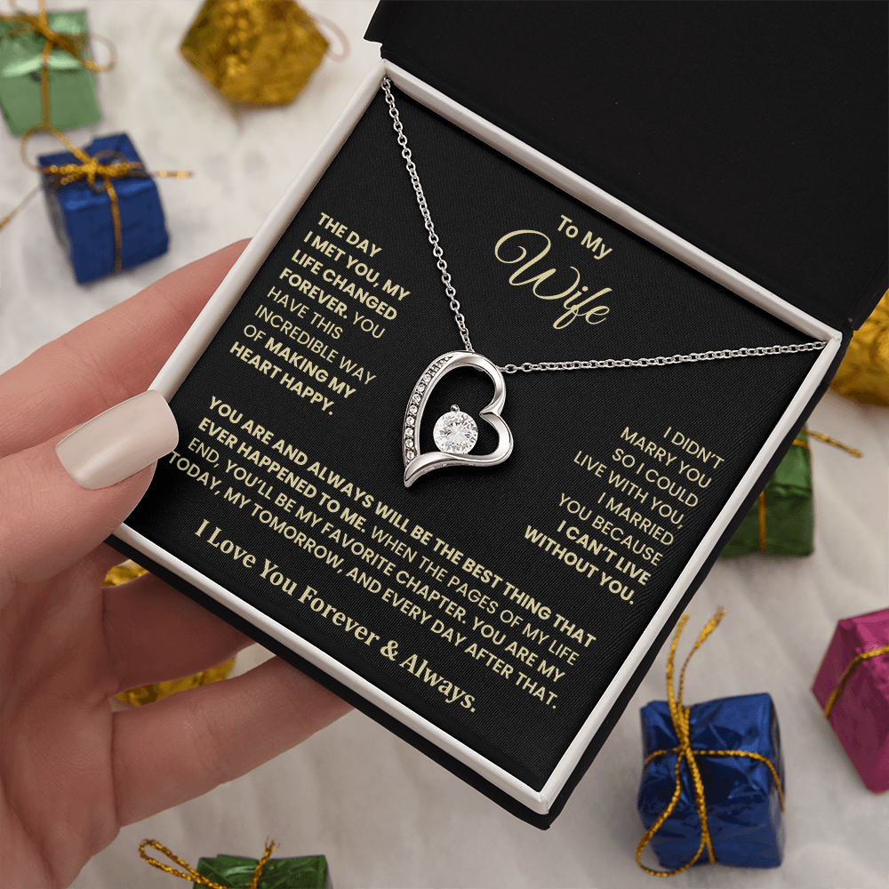 The Day I Met You Necklace – Gift for Wife from Husband