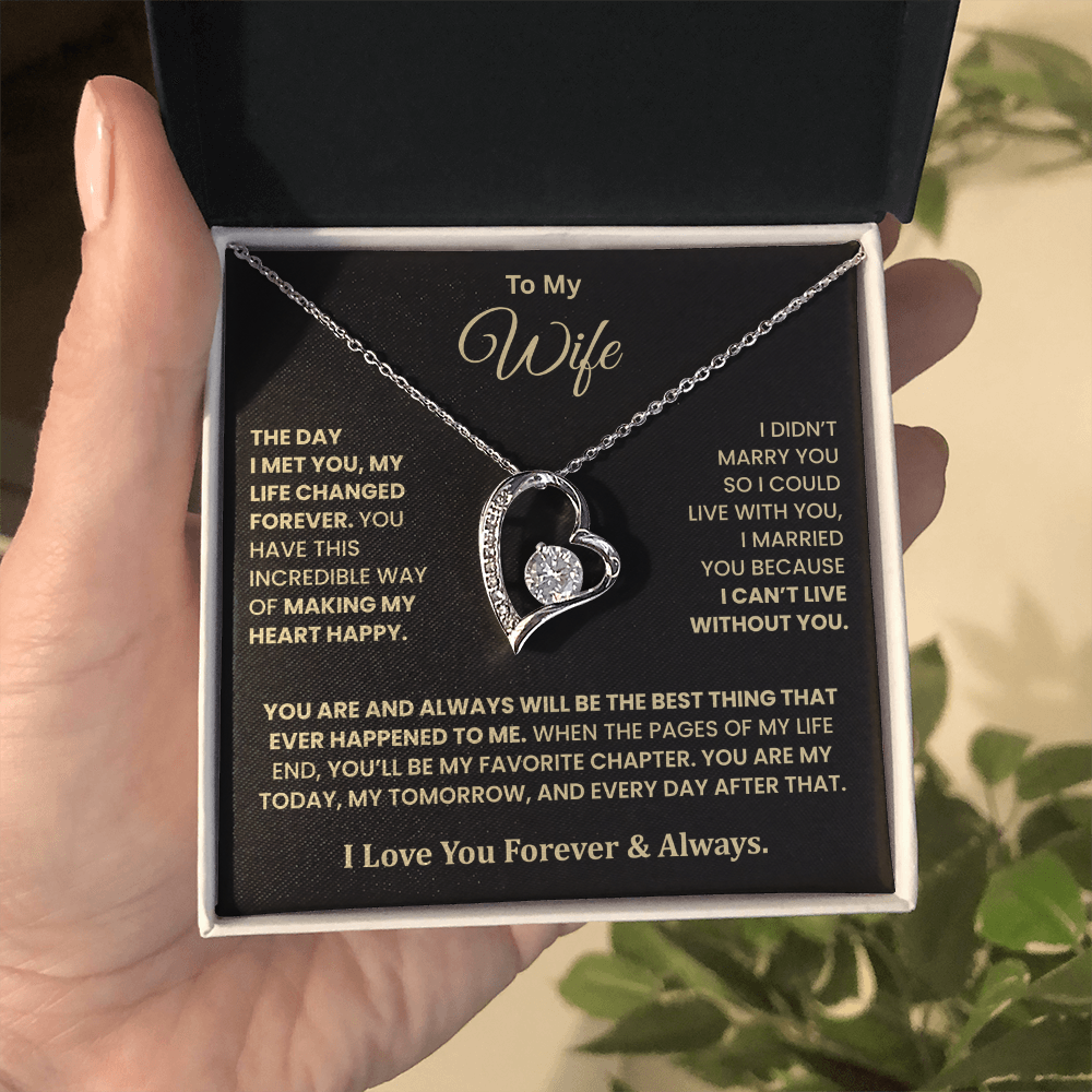 The Day I Met You Necklace – Gift for Wife from Husband