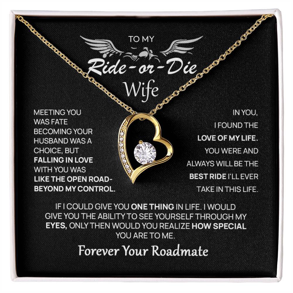 To My Wife - My Best Ride