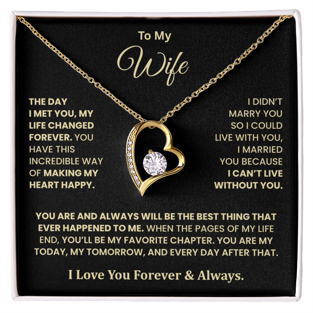 The Day I Met You Necklace – Gift for Wife from Husband