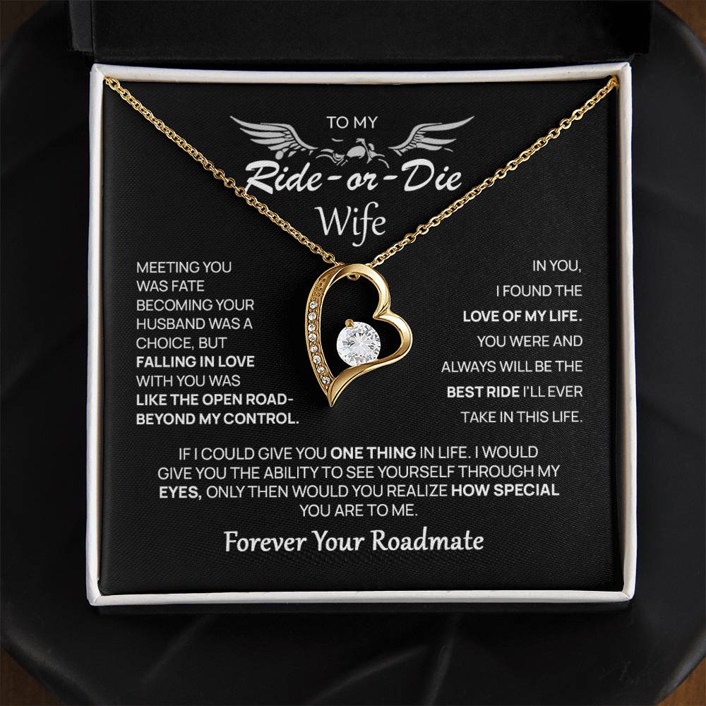 To My Wife - My Best Ride