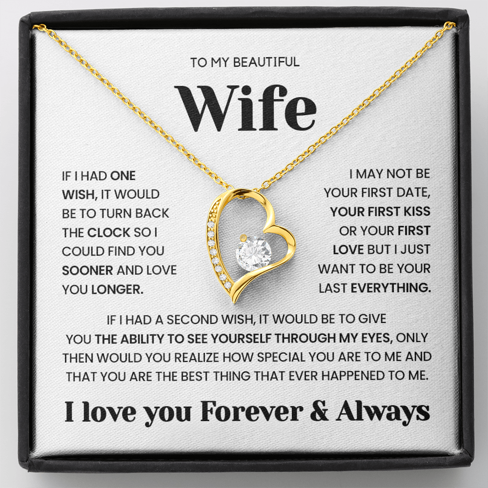 Beautiful Wife - I Wish I Found You Sooner