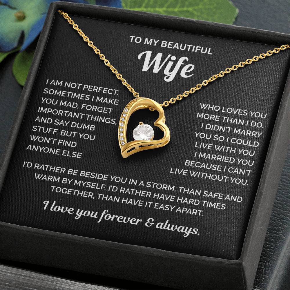 To My Beautiful Wife Necklace
