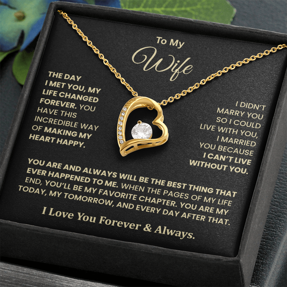 The Day I Met You Necklace – Gift for Wife from Husband