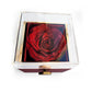 Anniversary Gift for Wife - Love Knot Necklace with Preserved Rose